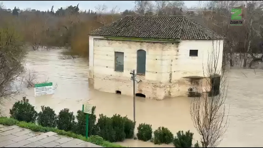 Timeline 1_08_37_25_12