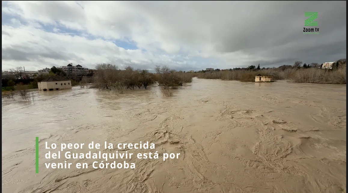 Captura de pantalla 2026-02-06 a las 14.09.26