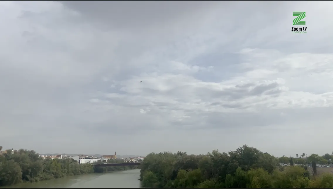 Captura de pantalla 2025-11-04 a las 14.02.16